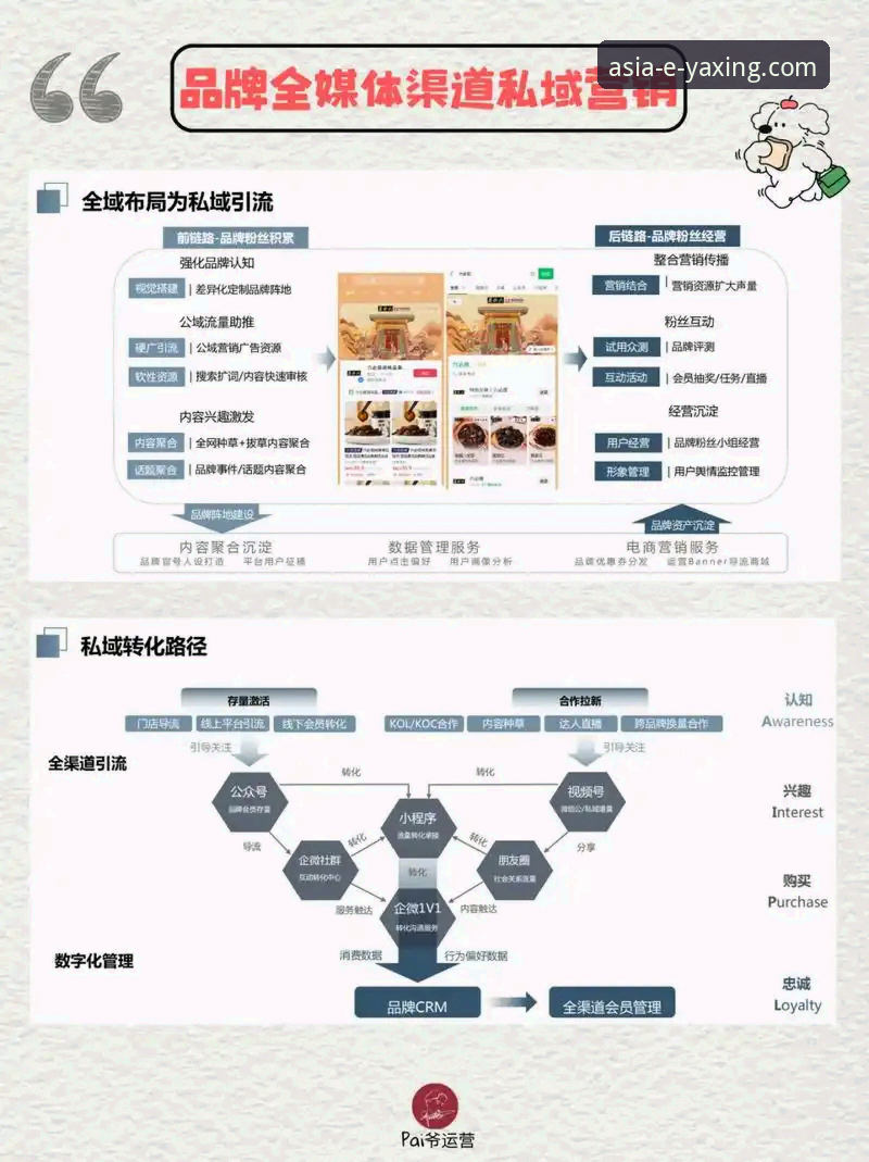 亚星平台安全吗对比 实战派用户深度解析:亚星平台安全吗对比与高效使用心得
